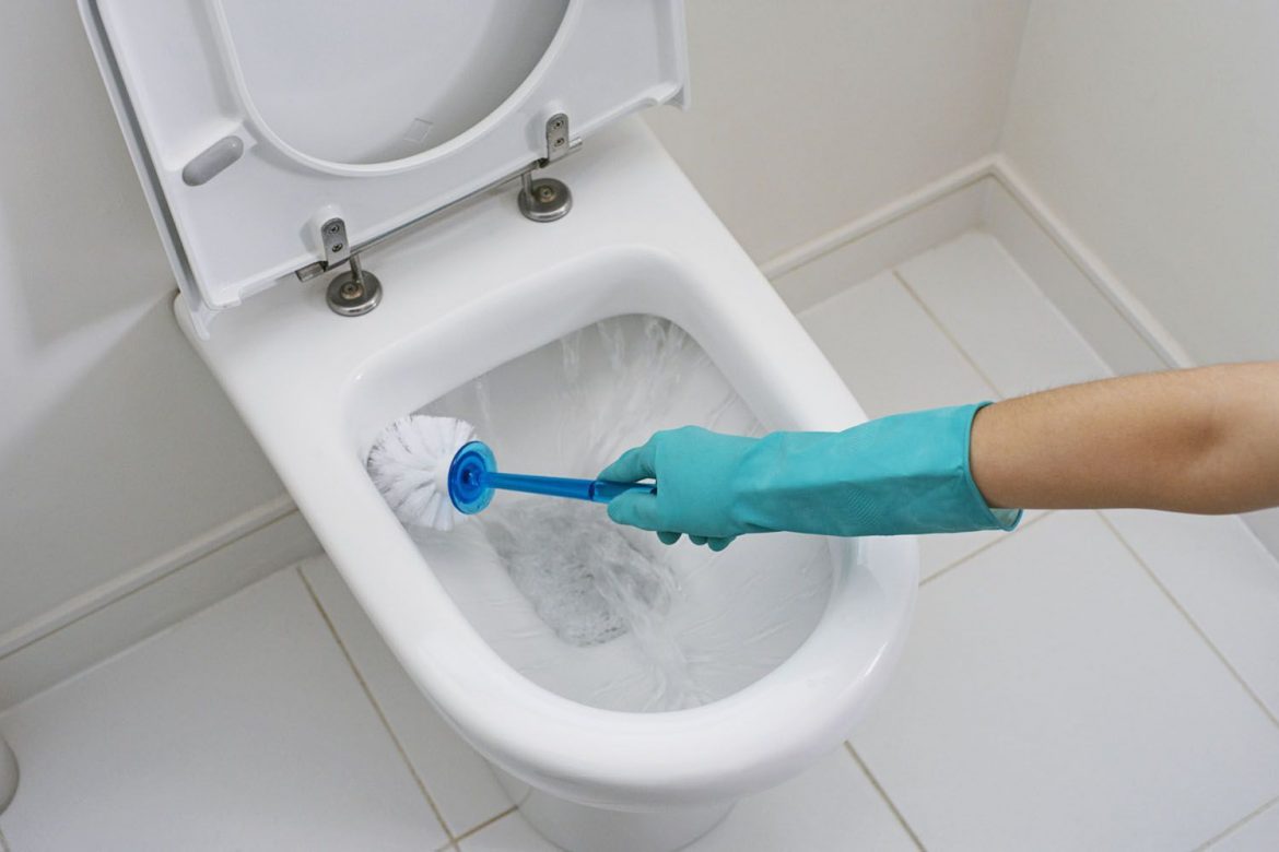 entretien de la cuvette des toilettes