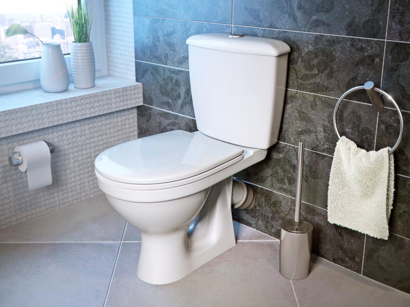 cuvette des toilettes