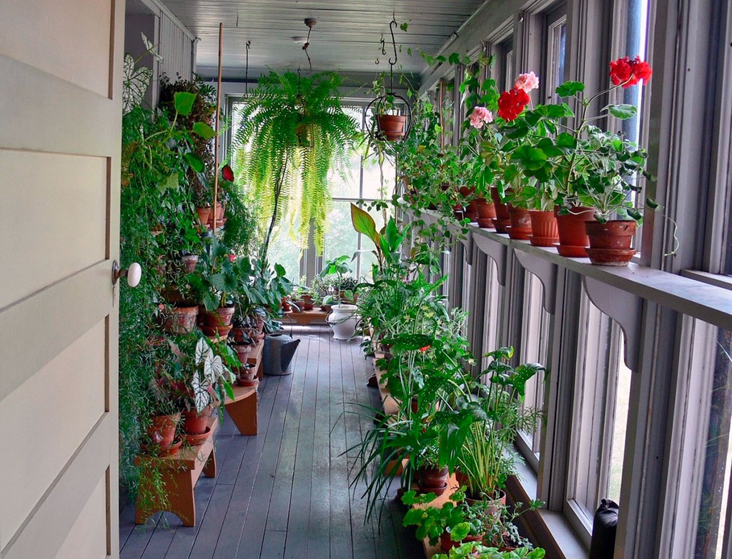 jardin d'hiver sur le balcon