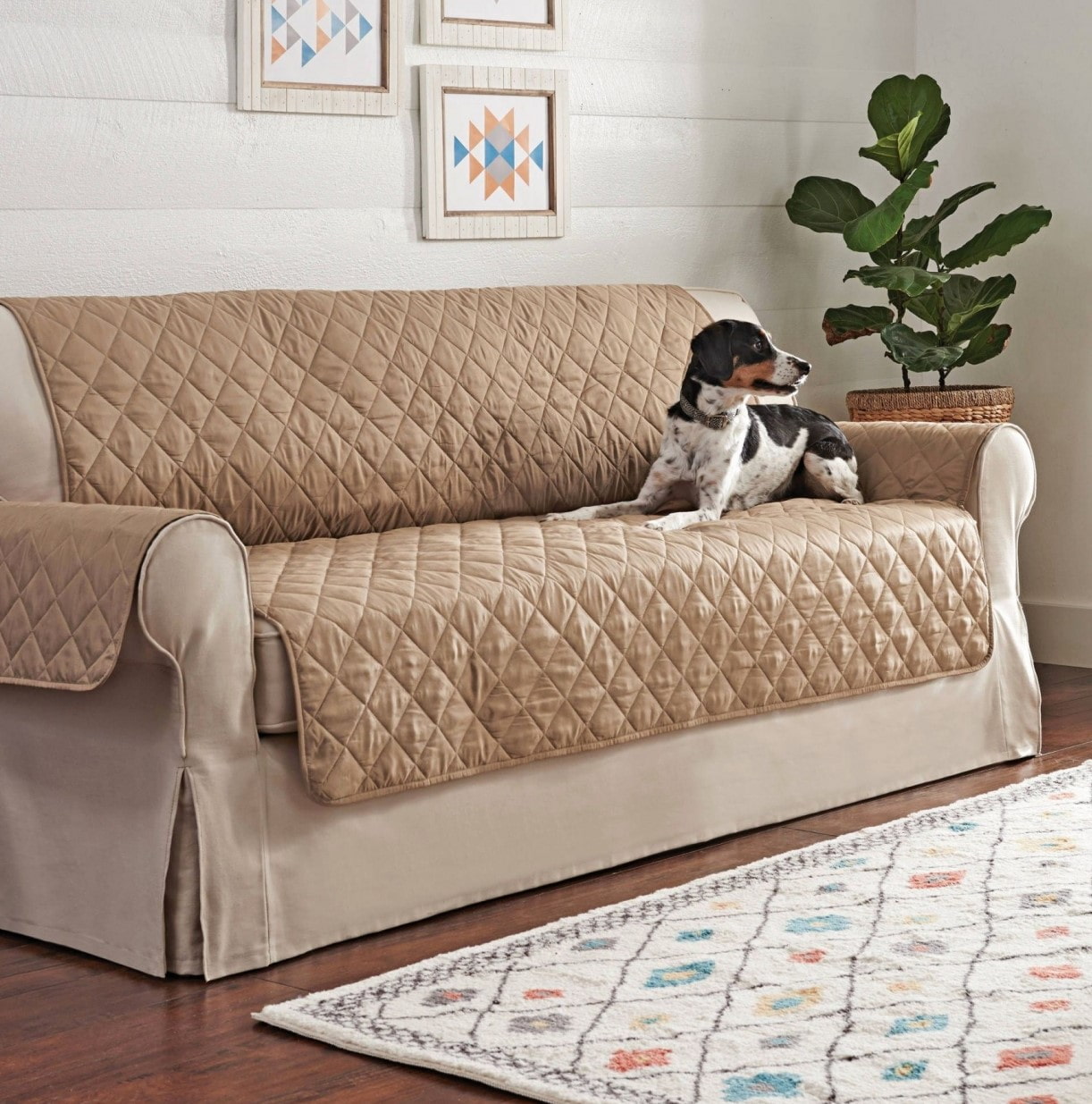tissu sur canapé