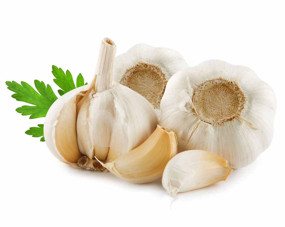 đồ dùng cupronickel