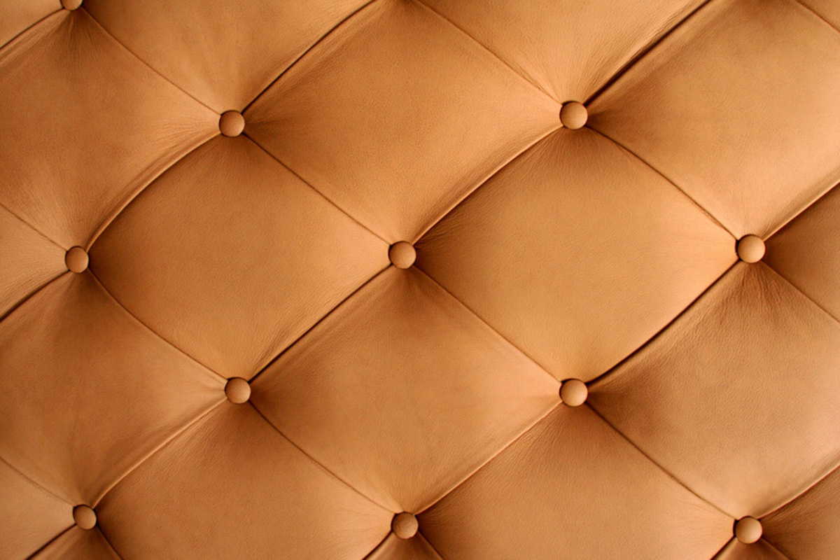 structure de la peau