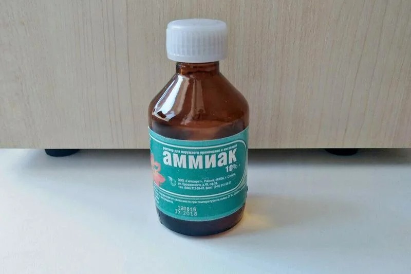 amônia