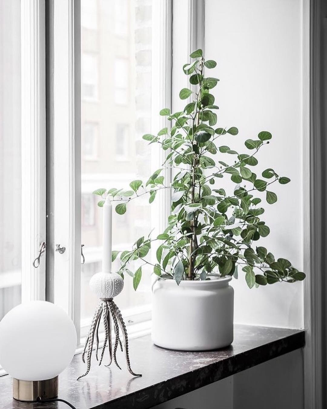 lọ hoa trên bệ cửa sổ