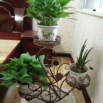 kệ cho hoa wicker đứng
