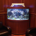 piédestal sous l'aquarium dans le coin