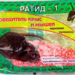 options de poison à rat