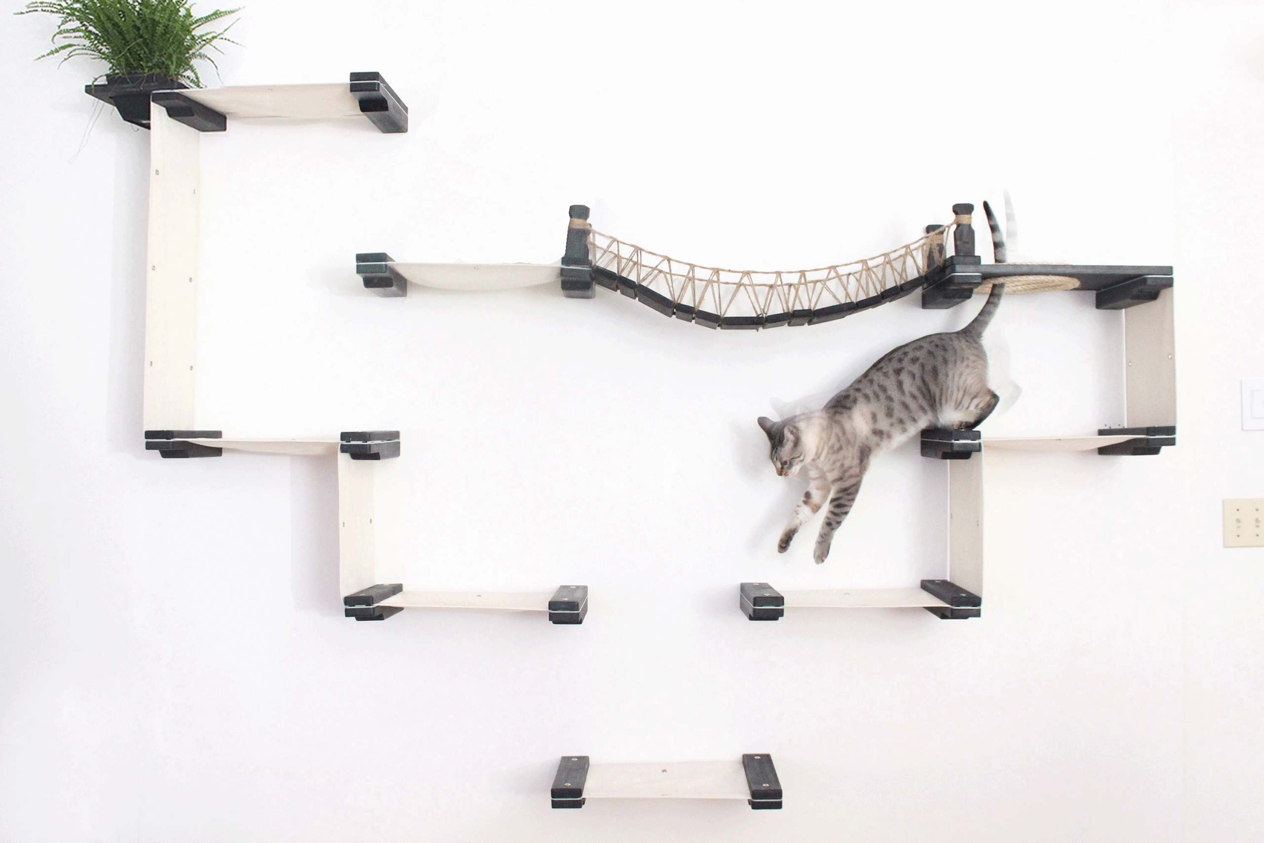 main rak dinding untuk kucing dalam talian
