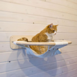 rak dinding untuk reka bentuk gambar kucing