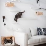 rak yang dipasang di dinding untuk idea reka bentuk kucing