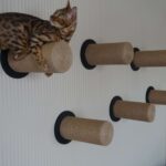 rak dinding untuk hiasan gambar kucing