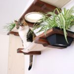 rak yang dipasang di dinding untuk idea hiasan kucing