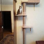 rak dinding untuk gambar dalaman kucing