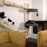 rak dinding untuk idea dalaman kucing
