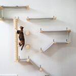 rak yang dipasang di dinding untuk hiasan kucing