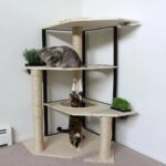 rak dinding untuk gambar hiasan kucing