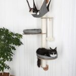 rak yang dipasang di dinding untuk idea hiasan kucing