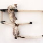 rak dinding untuk idea hiasan kucing