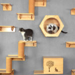 rak yang dipasang di dinding untuk pilihan gambar kucing