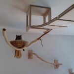 rak yang dipasang di dinding untuk pilihan idea kucing