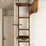 rak dinding untuk jenis gambar kucing