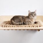 rak yang dipasang di dinding untuk jenis idea kucing