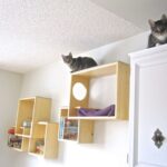 rak yang dipasang di dinding untuk gambaran keseluruhan kucing