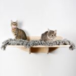 rak yang dipasang di dinding untuk kucing jenis reka bentuk