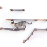 rak yang dipasang di dinding untuk kucing