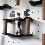 rak dinding untuk gambar hiasan kucing