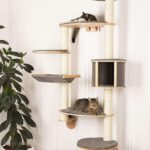 rak dinding untuk gambar reka bentuk kucing