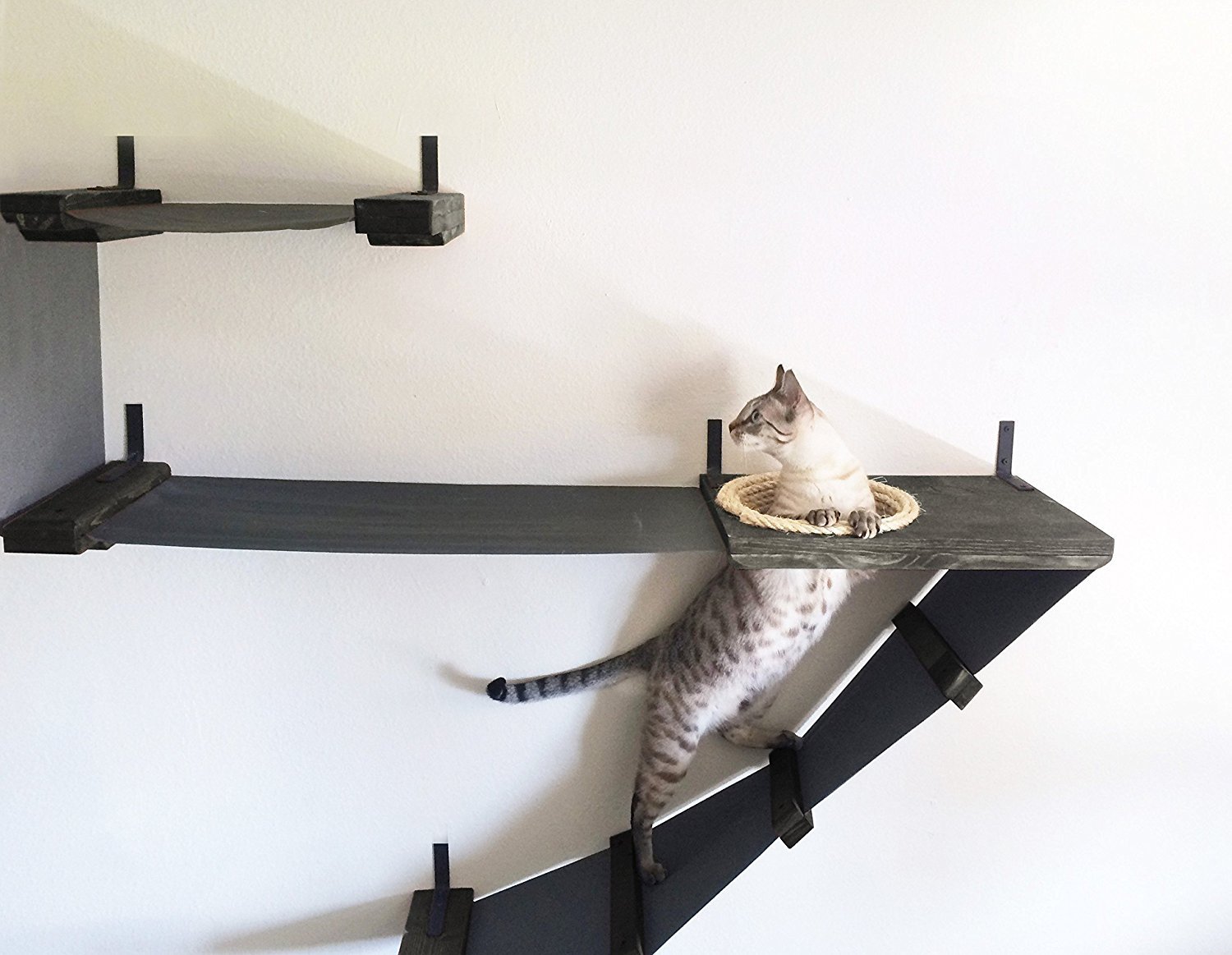 rak yang dipasang di dinding untuk idea reka bentuk kucing
