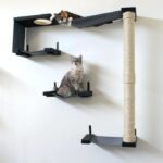 rak dinding untuk hiasan gambar kucing