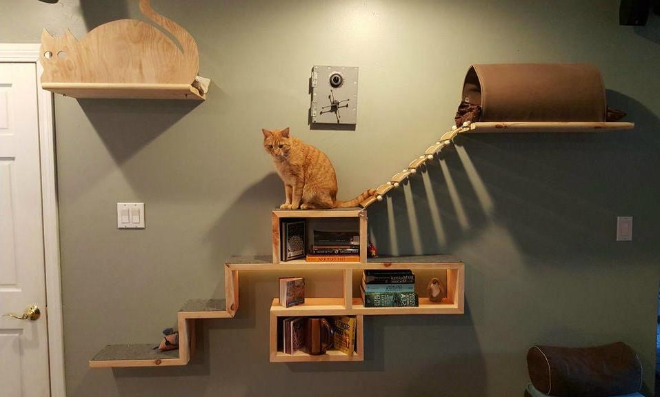 rak yang dipasang di dinding untuk reka bentuk gambar kucing