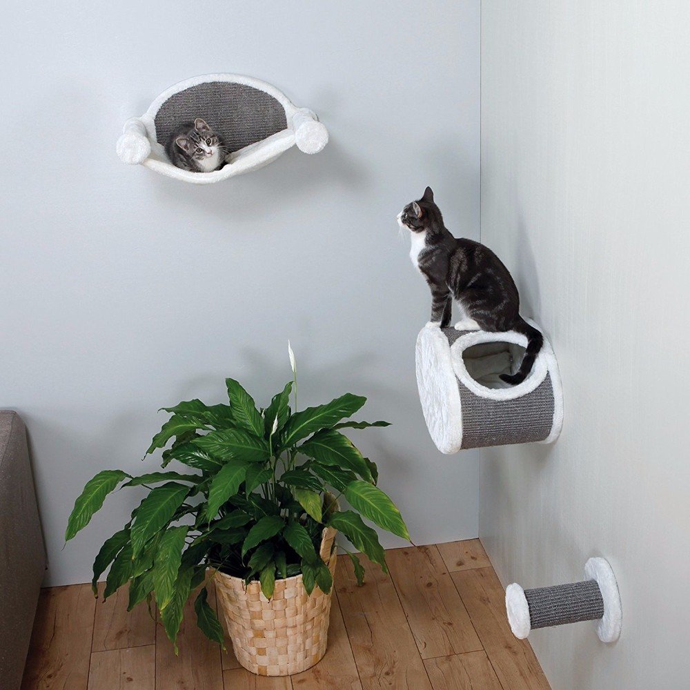 rak dinding untuk kucing