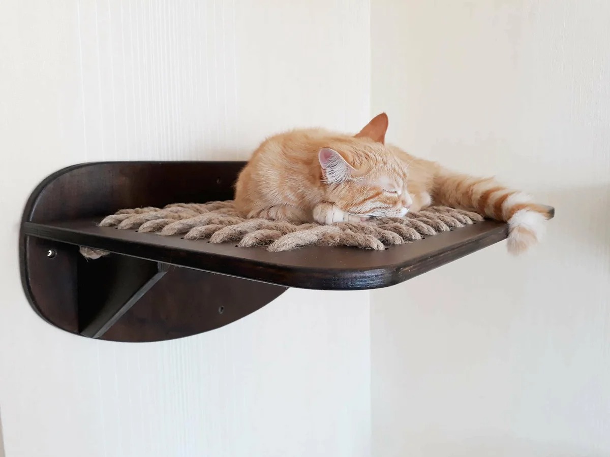 rak yang dipasang di dinding untuk idea reka bentuk kucing