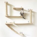 rak dinding untuk idea gambar kucing