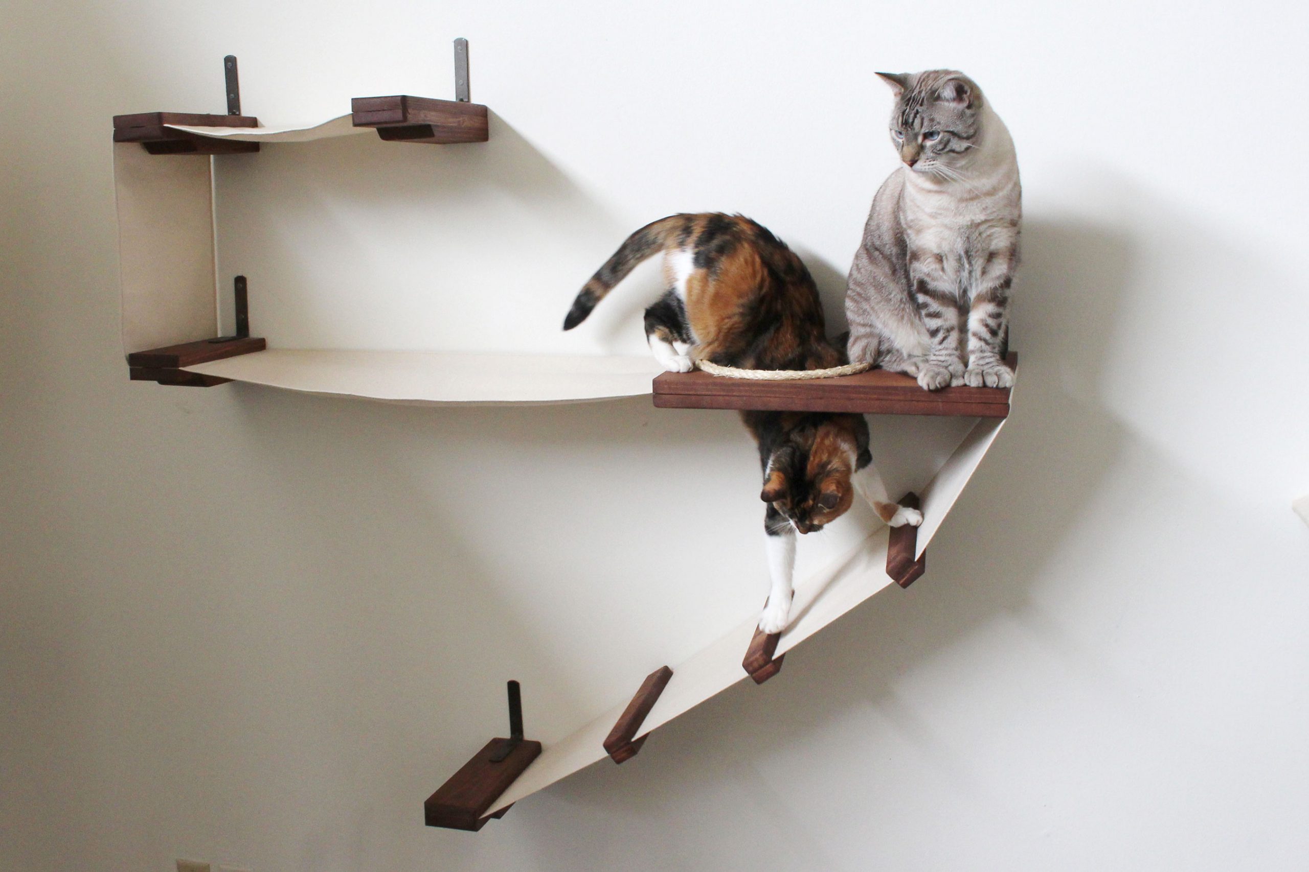 rak yang dipasang di dinding untuk idea kucing