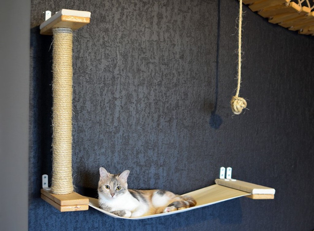 Rak yang dipasang di dinding untuk hiasan kucing