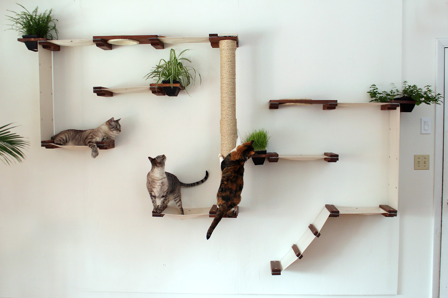 rak dinding untuk kucing