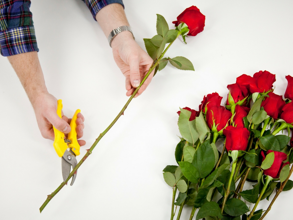 couper des roses