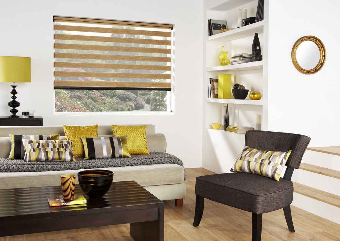 roller blinds day night photo ideas