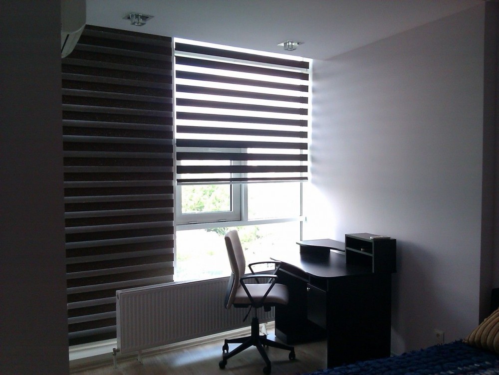 tende a rullo zebra design