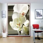 armoire à deux portes