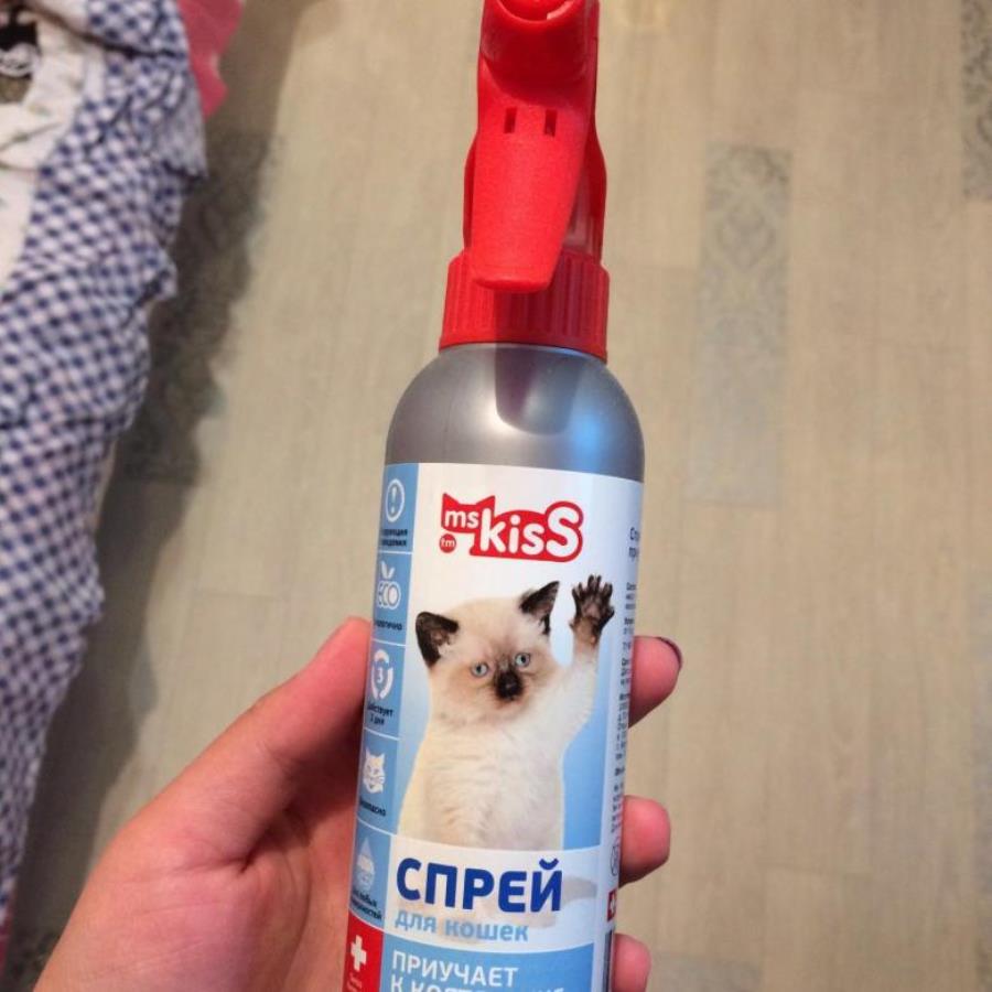 spray d'entraînement pour poteaux de grattage