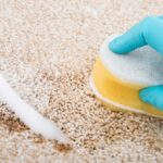 tester des fonds sur un tapis