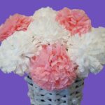 oeillets roses et blancs