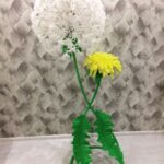 pissenlit blanc et jaune