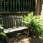 tienda de arbustos