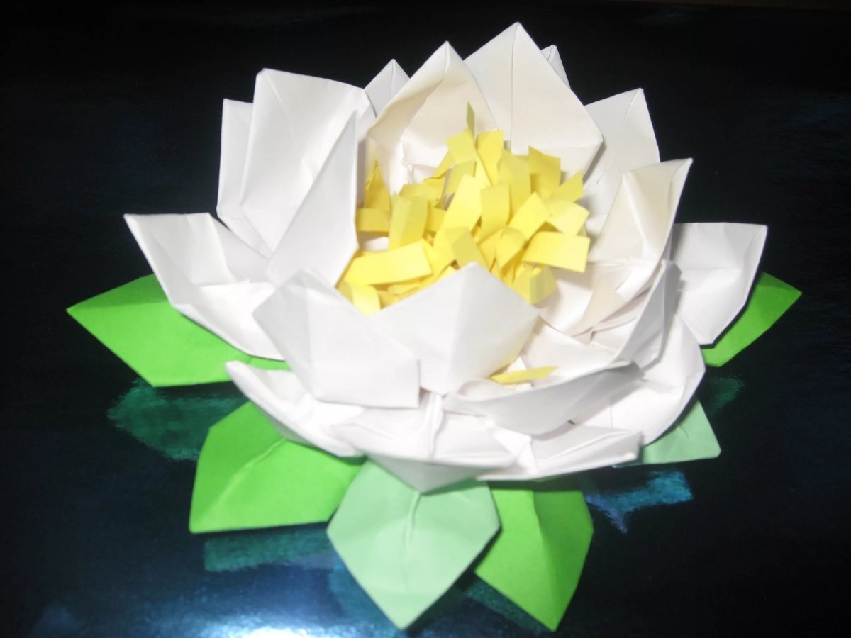 lotus blanc de serviettes